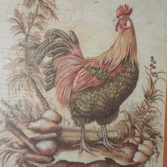 Rooster print matted & framed print approximately 9.5"x7 1/4", frame 18.5"x15.5" - Picture 2 of 3